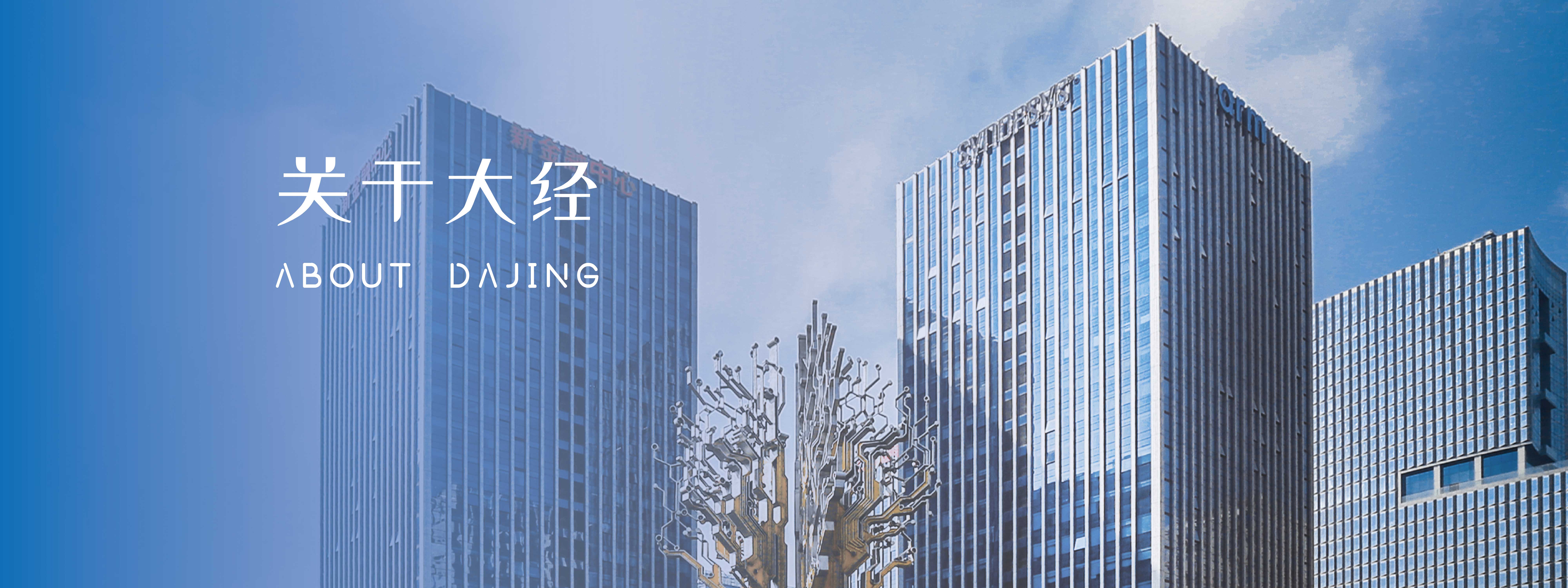 大经数智中医 - 公司简介